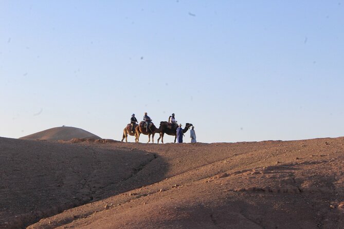 Quad Bike and Camel Riding Experience at Agafay Desert - Pricing Information