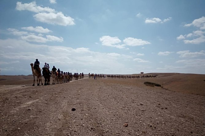 Quad Bike & Camel Ride Agafay & Dinner at Chouf L'Or Restaurant - Reviews