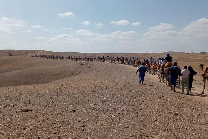 Quad Bike & Camel Ride Agafay & Dinner at Chouf L'Or Restaurant - The Sum Up