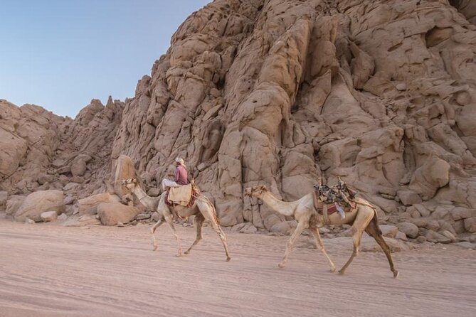Quad Bike Desert Adventure in Sharm El Sheikh - Pickup Information