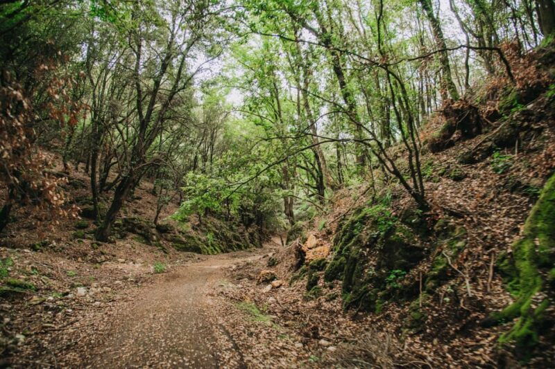 Quad bike excursion in the Gargano - Practical Details
