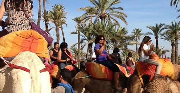 Quad Bike in the Desert & Dromedary Tour. Lunch or Dinner - Quad Biking Adventure