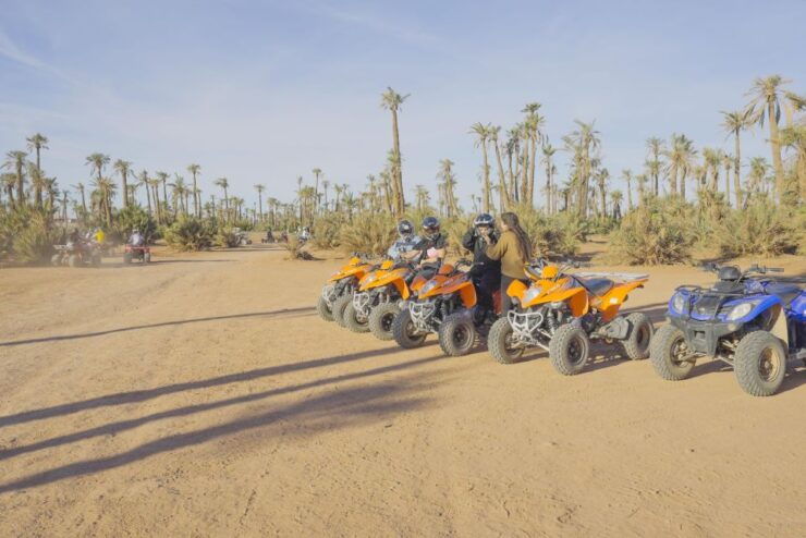 Quad Bike in the Desert & Dromedary Tour - Desert Adventure Overview
