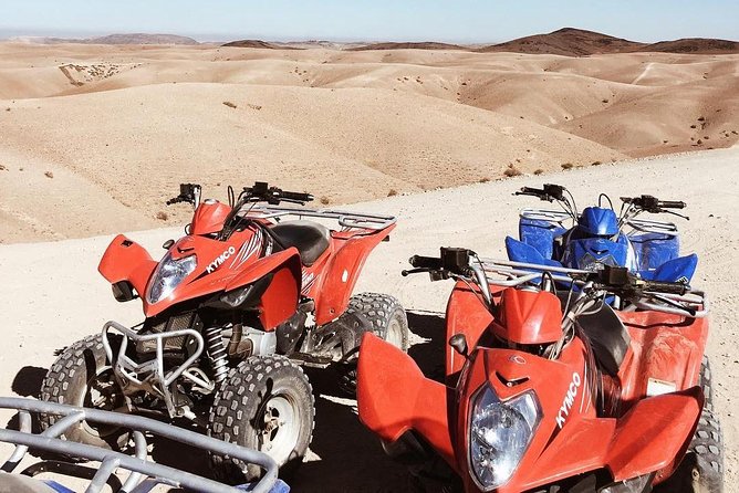 Quad Bike Ride in Palmerie Desert - Inclusions
