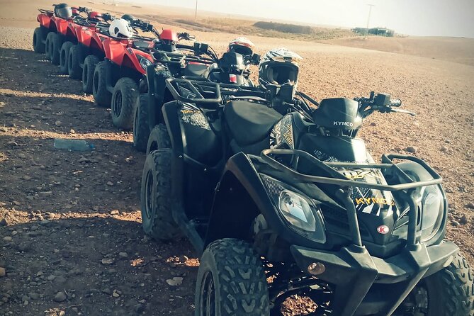 Quad Bike Ride in Palmerie Desert - Reviews and Testimonials