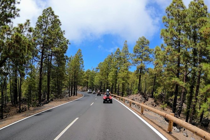 Quad Bike Tour Off-Road Adventure in Teide National Park - Tour Overview and Inclusions