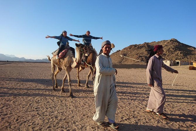 Quad Bike Tour to the Bedouin Village - Customer Reviews