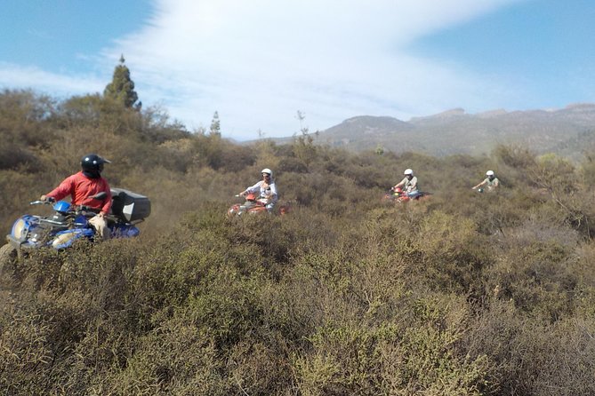 Quad Bike Trip - What to Expect: Visit to Volcan El Teide