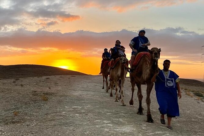 Quad Biking Agafay Desert & Magical Dinner Show - Reviews and Ratings