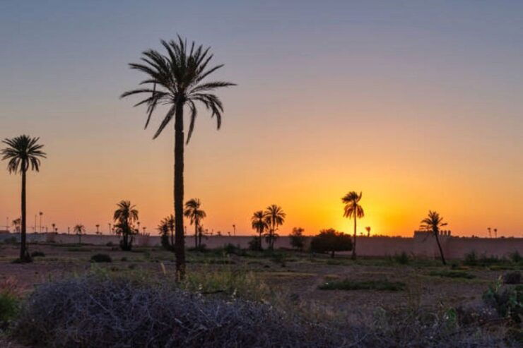 QUAD BIKING AND CAMEL HALF DAY TRIP IN MARRAKESH - Activity Highlights