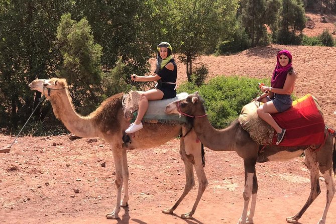 Quad Biking and Camel Ride Guided Day Trip From Marrakech - Traveler Reviews
