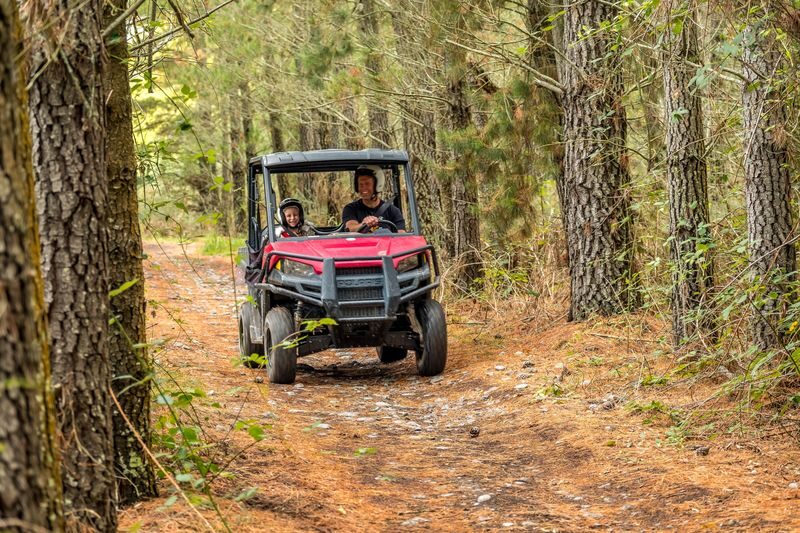 Quad Biking & Buggy Experience in Hanmer Springs - Who will get the most from this ride
