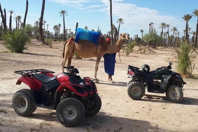 Quad Biking, Camel Ride, Hammam Combo Package  - Agadir - Camel Ride and Hammam Experience
