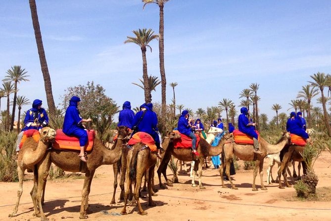 Quad Biking, Camel Ride, Hammam Combo Package  - Agadir - Common Questions
