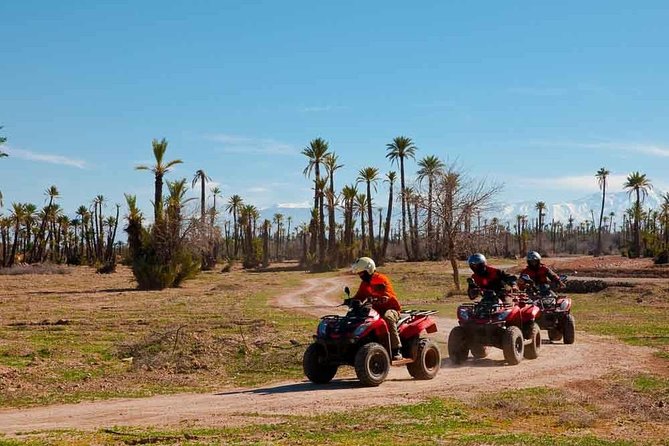 Quad Biking in Marrakech Palm Grove - Operator and Pricing