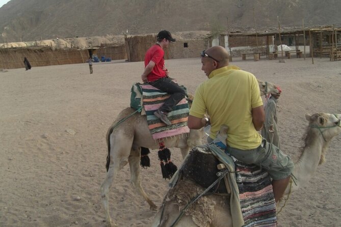Quad Biking in Sharm El Sheikh Desert, Party, Dinner - Hotel Pickup and Drop-Off Service