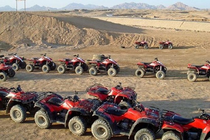 Quad Biking in the Egyptian Desert From Sharm El Sheikh - Good To Know