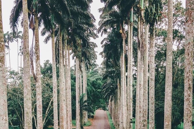 Quad Biking, Landmark Tours and Dinner in Aburi - Cancellation Policy