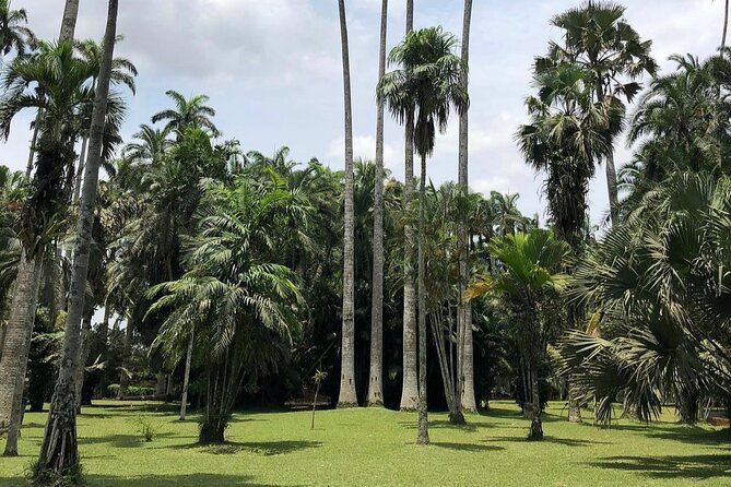 Quad Biking, Landmark Tours and Dinner in Aburi - Itinerary