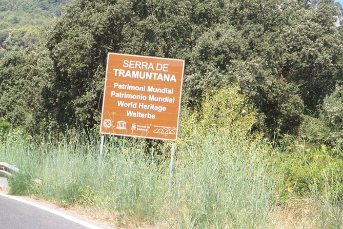 Quad Day Tour From Paguera - Additional Information