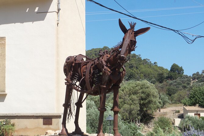 Quad Day Tour From Paguera - Common Questions