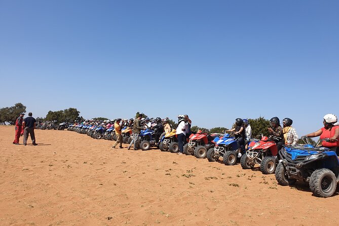 QUAD Half Day - Positive Reviews and Recommendations