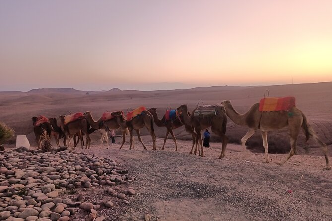 Quad Is Dromedary + Dinner in Agafay - Convenient Meeting and Pickup
