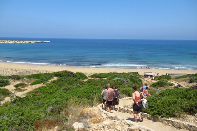 Quad or Buggy Tour From Coral Bay to Akamas Forest - Highlights
