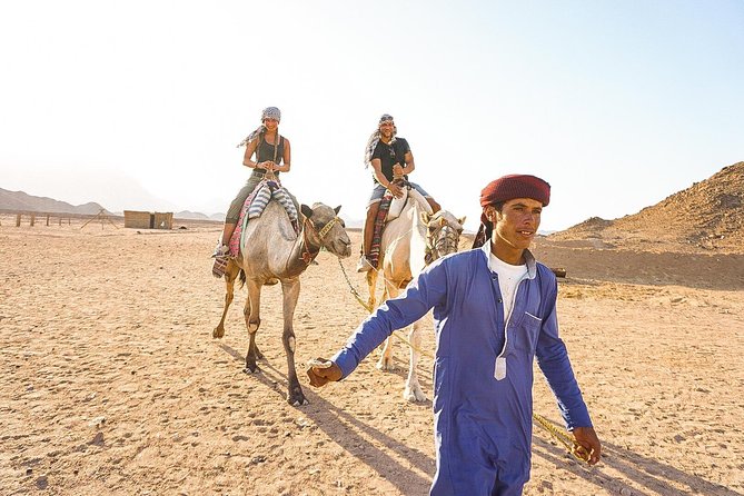 Quad Safari Trip - Confirmation and Accessibility Details