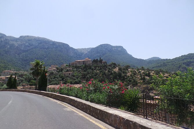 Quad Tour From Paguera 3 Hours - Tour Details