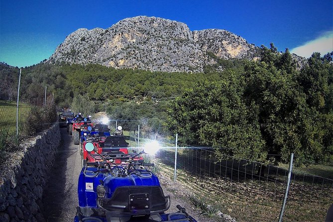 Quad Tour San Telmo - Overall Rating and Review Count