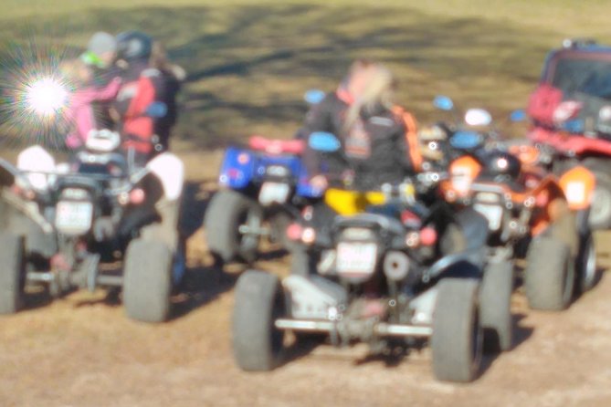 Quad Tour With Raclette Near Zurich - Raclette Dinner