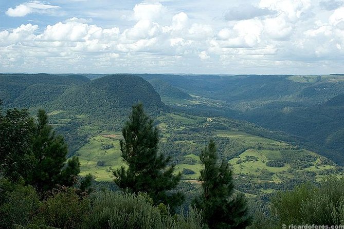 Quadricycle Tour to the Hills With off Road - 01 Person in Quadri - Safety Gear Requirements and Availability