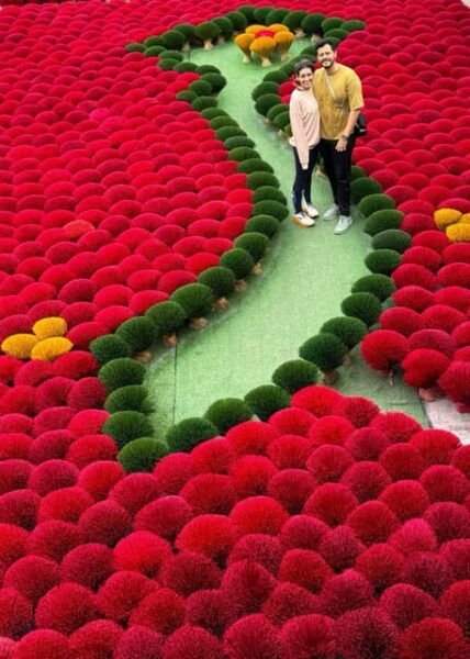 Quang Phu Cau Half Day From Ha Noi - Tips for a Great Experience