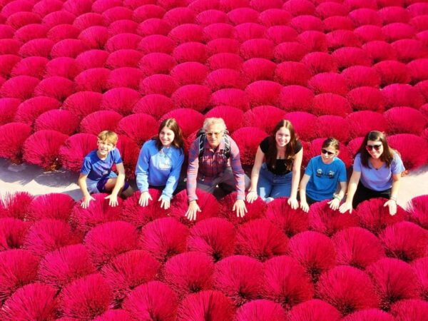 Quang Phu Cau Incense Village, Hoa Lu, Trang An Private Tour - Important Information