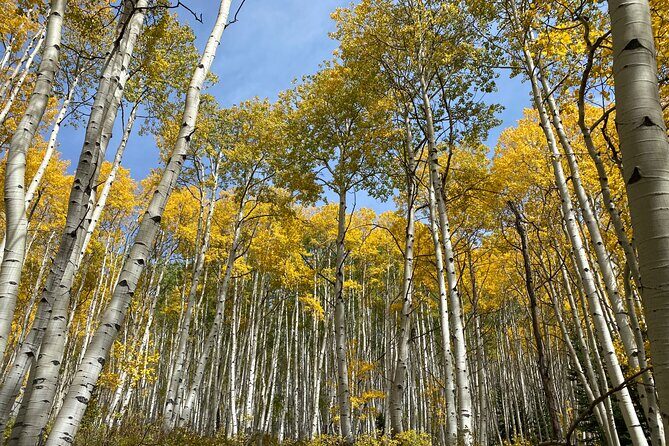 Quantum Healing Hike Hypnosis and Harmony at the Lake - FAQ