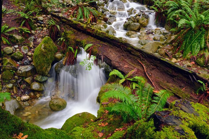Quarry Rock Hike and Deep Cove Photography - Deep Cove: A Photographers Paradise