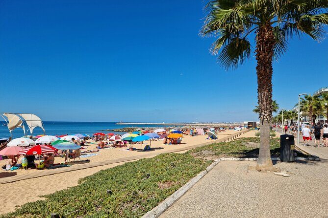 Quarteira and Vilamoura Half Day Tour - Authentic Traveler Insights