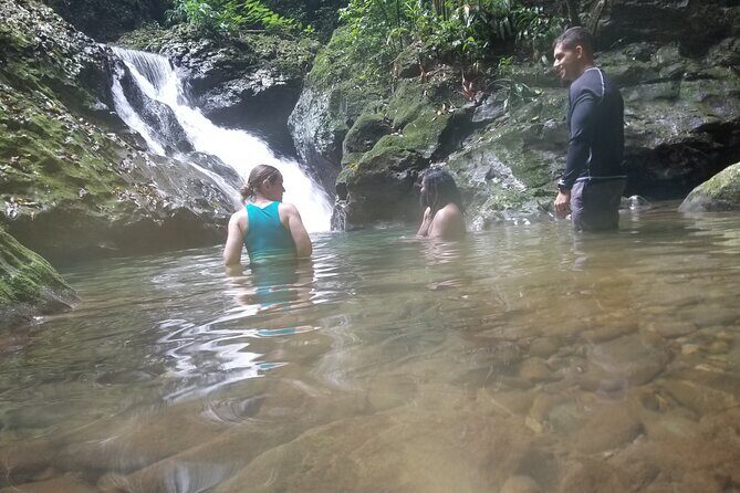 Quashie River Hiking in Cockpit Country Experience - Good To Know