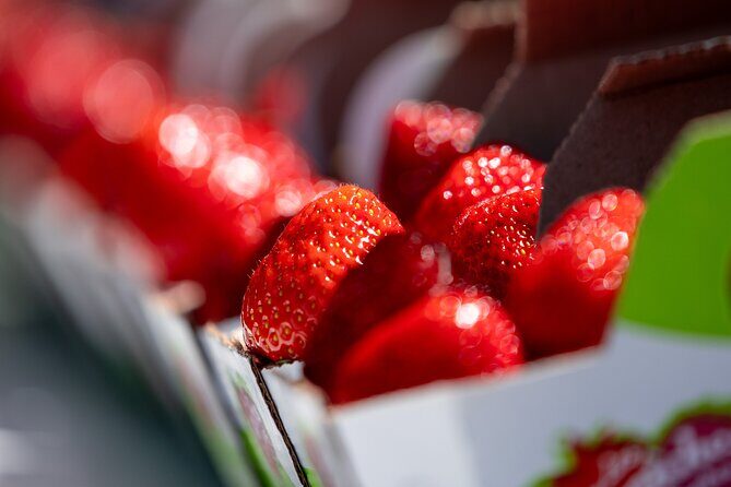 Quebec City - Agricultural Walking Tour on Ile d'Orléans - Frequently Asked Questions