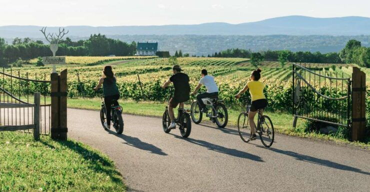 Quebec City: Electric Bike Rental on Ile D'orleans - Experience Highlights