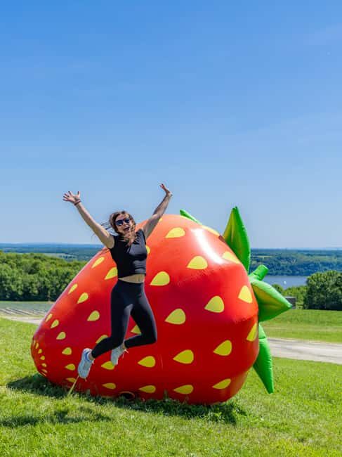 Quebec City: Ile d'Orléans Guided E-Bike Tour with Tastings - Who Is This Tour Best Suited For?