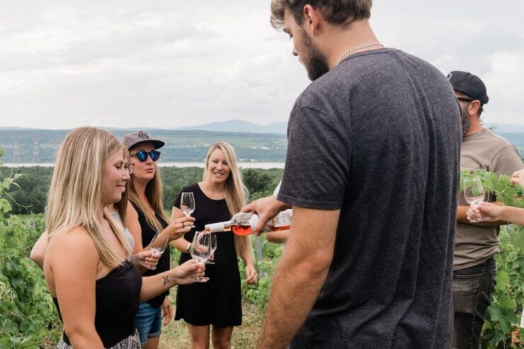 Quebec City: Island of Orleans Wine Tour - Tour Overview