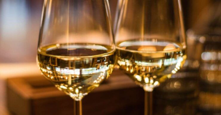 Quebec City: Island of Orleans Wine Tour - Activity Details