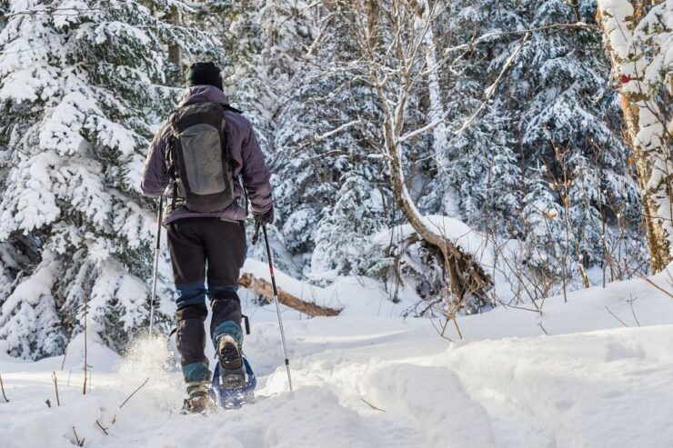 Quebec City: Jacques-Cartier National Park Snowshoeing Tour - Activity Information