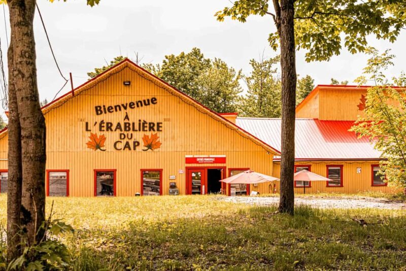 Quebec City (Lévis): self-guided sugar shack tour + meal + maple taffy - Good To Know