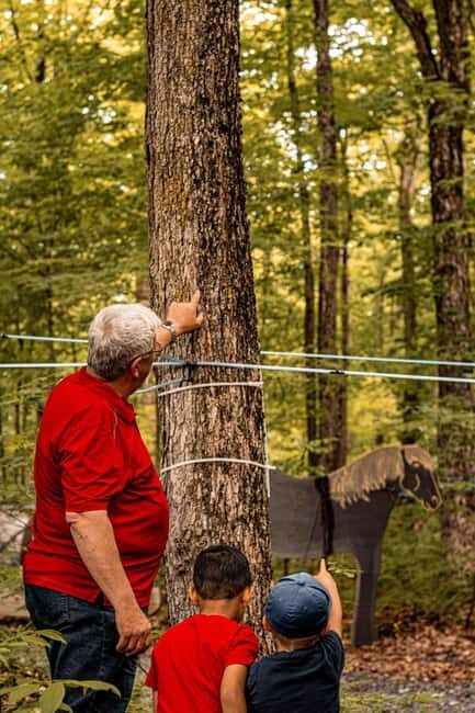 Quebec City (Lévis): self-guided sugar shack tour + meal + maple taffy - Who Will Love This Tour?