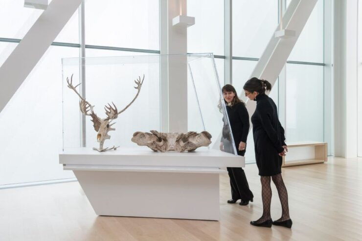 Quebec City: MNBAQ National Fine Arts Museum Entry Ticket - Ticket Information Details