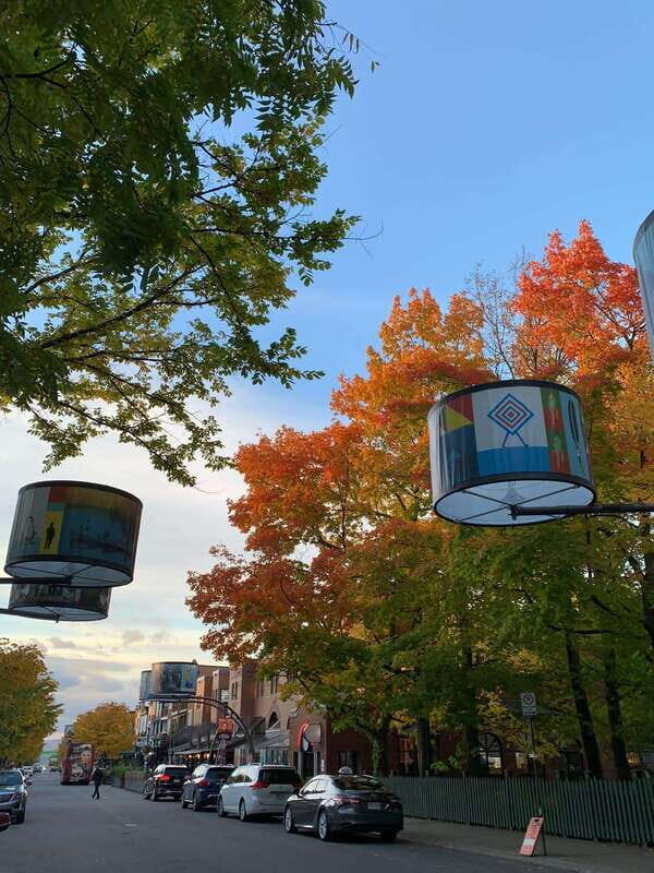 Quebec City: Montcalm & St-Jean Baptiste Walking Tour (2,5h) - Good To Know