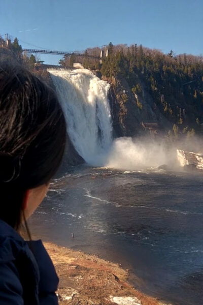 Quebec City: Montmorency Falls Shuttle Bus Transfers - Transportation and Service Highlights
